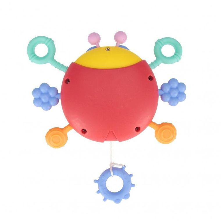 Bam Bam, zabawka sensoryczna, biedronka