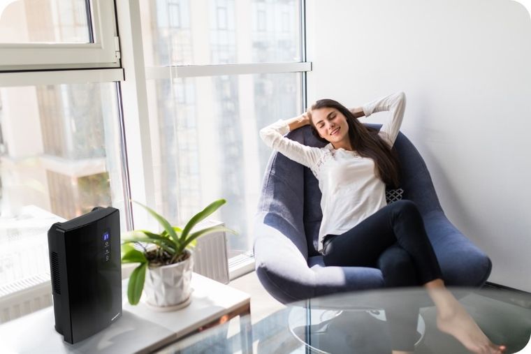 Berdsen, osuszacz powietrza, pochłaniacz wilgoci