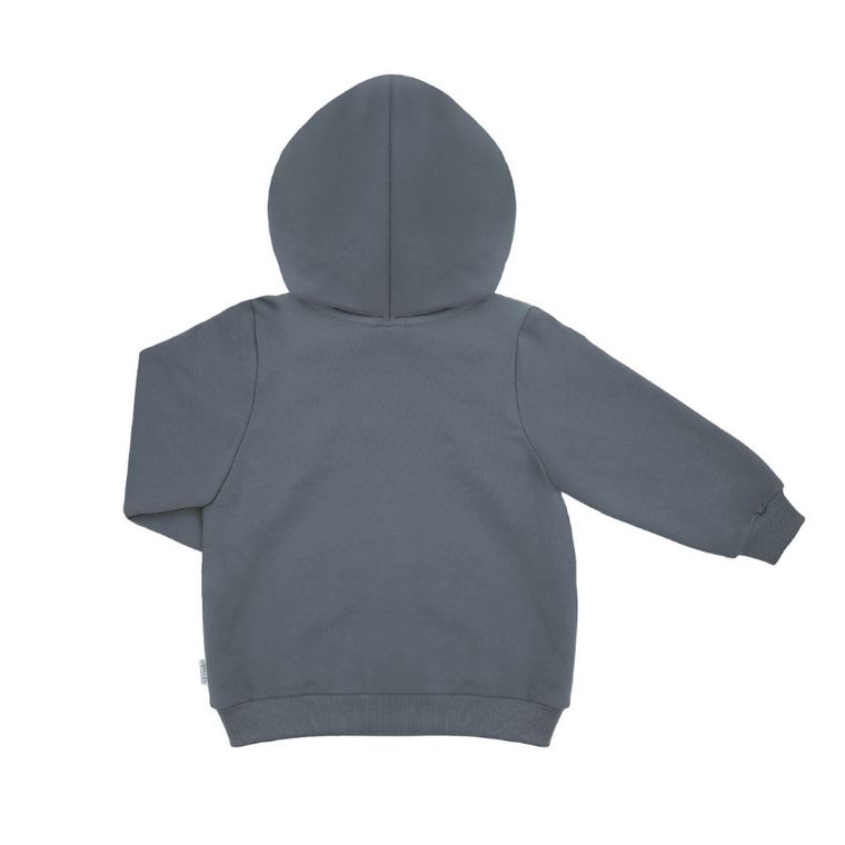 Bluza dziecięca z kapturem, rozpinana, szara, Nicol