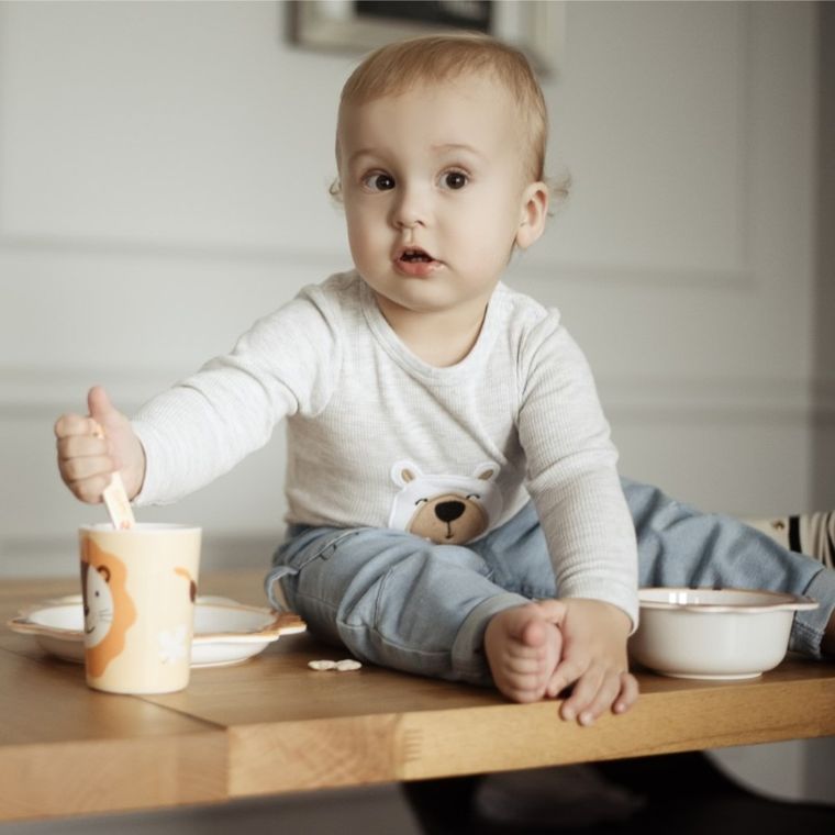 Bocioland, Lew, zestaw naczyń, 5 elementów