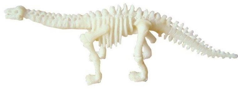 Bones&More, Duży szkielet dinozaura, wykopalisko, odcisk łapy