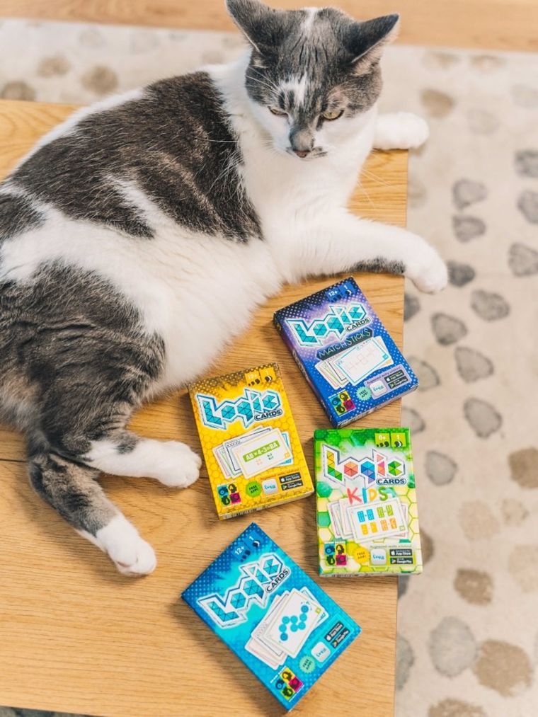 Brain Games, Logic Cards, Yellow, gra karciana