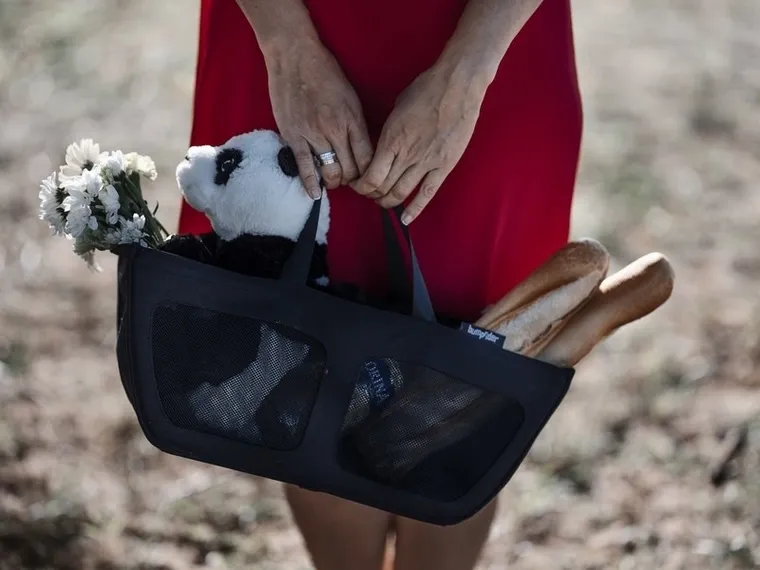 Bumprider, koszyk boczny do wózka Connect, Connect 2