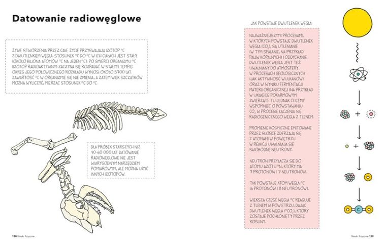 Cały świat jest cudem. Ilustrowany przewodnik po tajemnicach przyrody