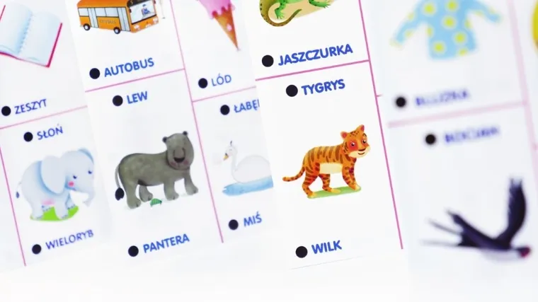 Carotina, 1000 pytań, gra interaktywna