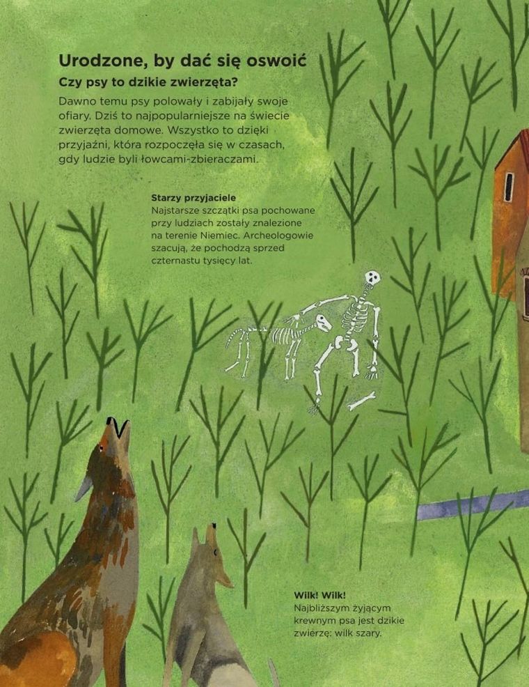 Dlaczego psy się obwąchują?