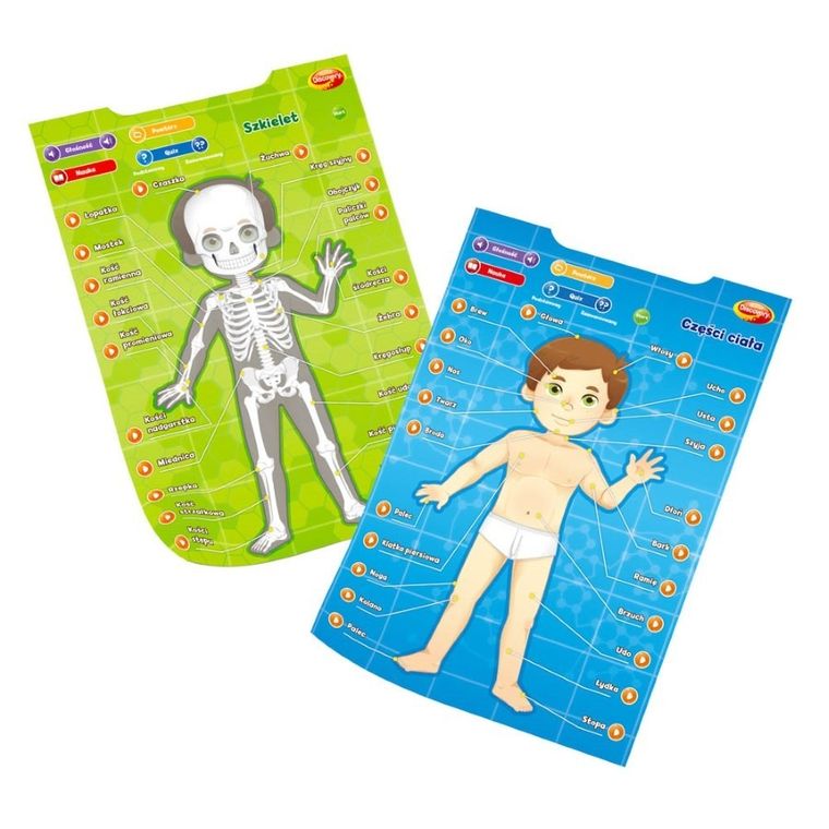 Dumel Discovery, Człowiek, edukacyjne plakaty interaktywne