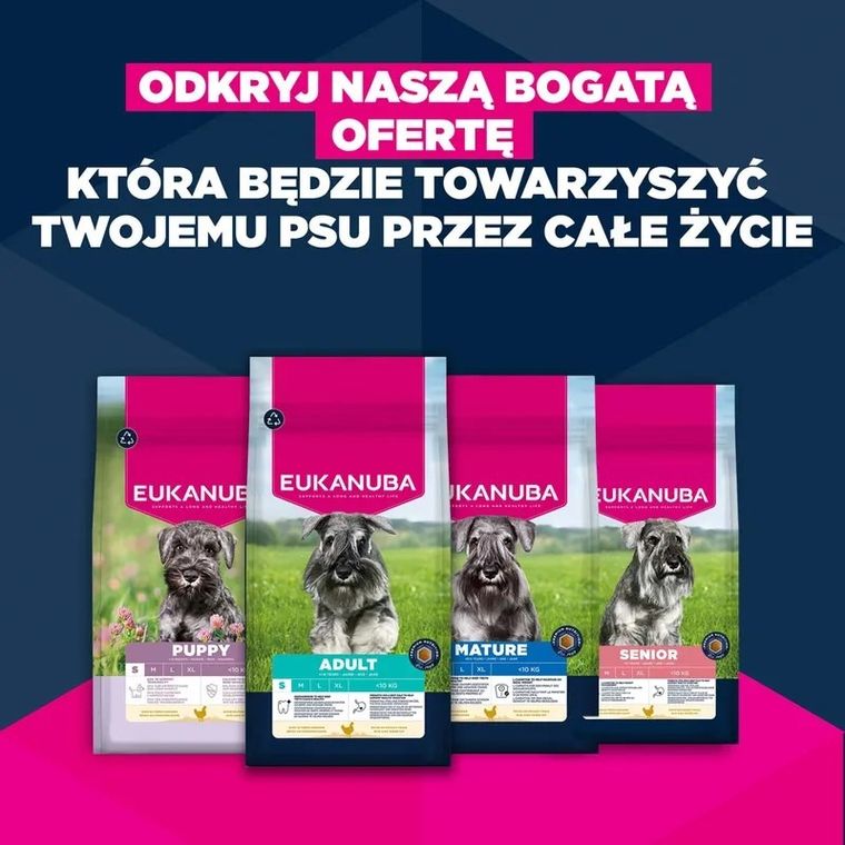 Eukanuba, Mature Small, kurczak, karma sucha dla psów, 3 kg