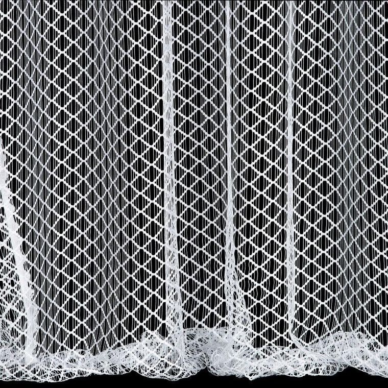 Eurofirany, firana gotowa na taśmie, Aiden, 300-270 cm, biały