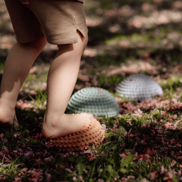 Find that Hippo, Wschód słońca, ścieżka sensoryczna