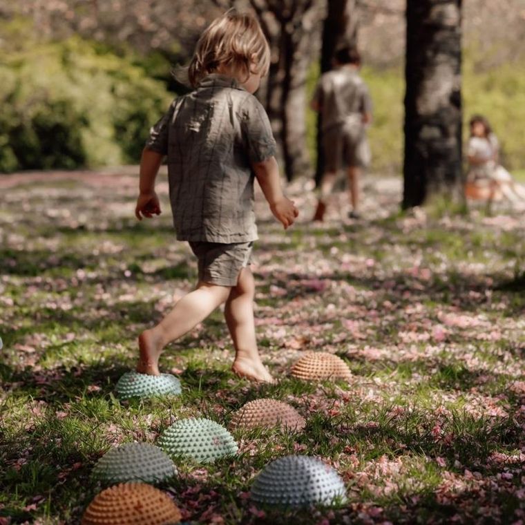 Find that Hippo, Zachód słońca, ścieżka sensoryczna