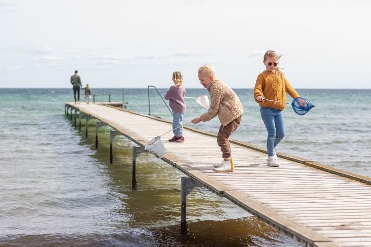 Follow the duck, siatka teleskopowa, ciemny zielony