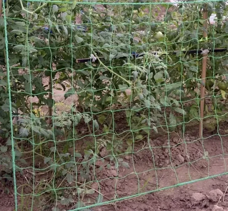 Gardlov, siatka, podpora do roślin, 2-20m