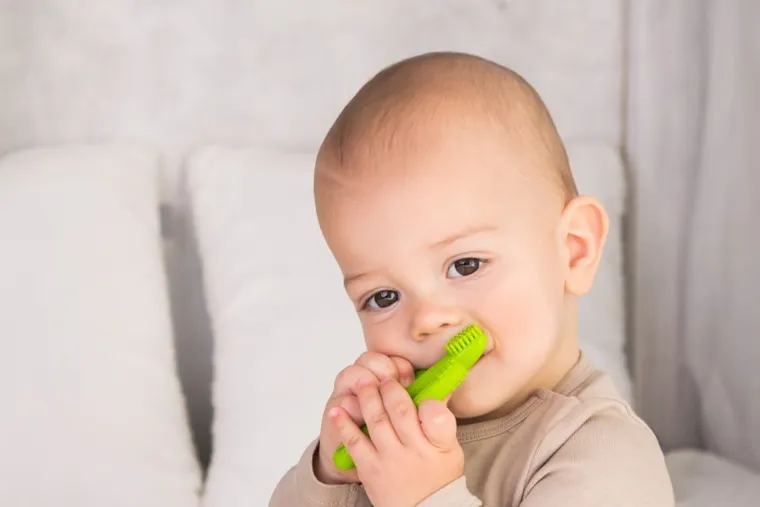 GiliGums, Kaktus, szczoteczka, zielony