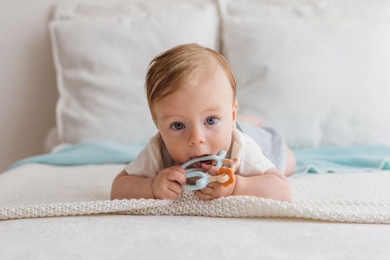 GiliGums, Miś, gryzak