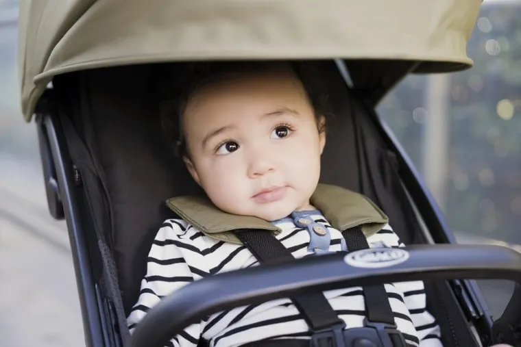 Graco, MyAvo, wózek spacerowy, Clover