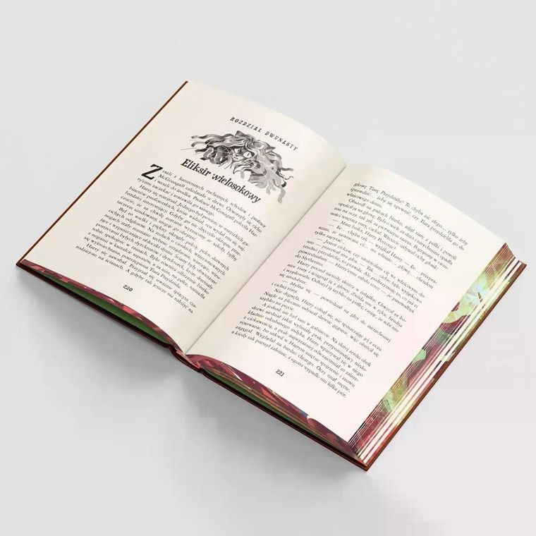 Harry Potter i Komnata Tajemnic (ilustrowane brzegi) wer. limitowana