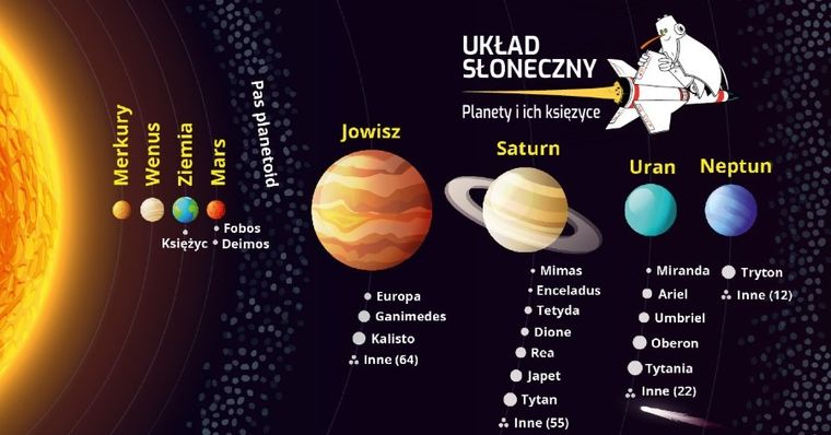 Hipokampus, Był sobie kosmos, gra familijna