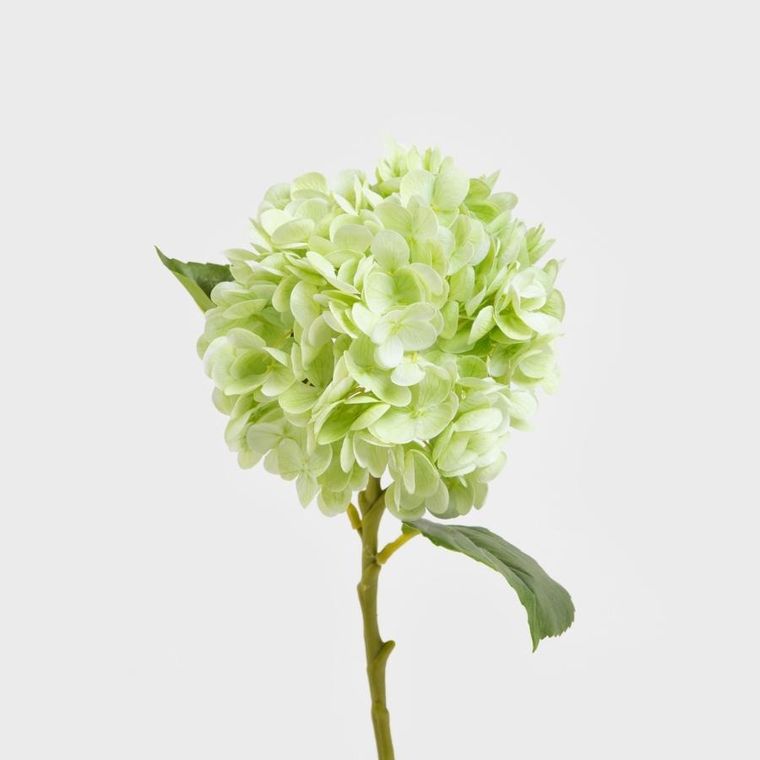 Homla, Fortens, gałązka sztuczna, hortensja, zielona, 49 cm, 739019