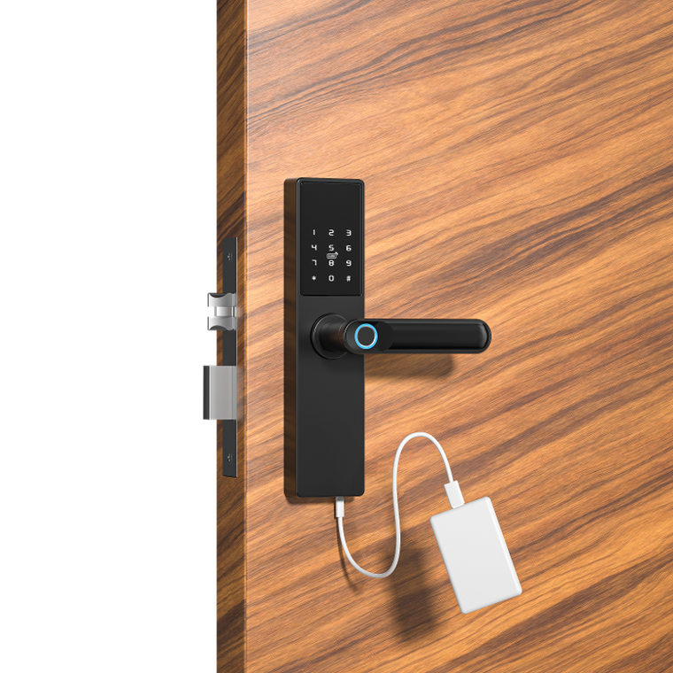 Inteligentny zamek do drzwi Tuya, na odcisk palca, kod, Wi-Fi, RFID, czarny