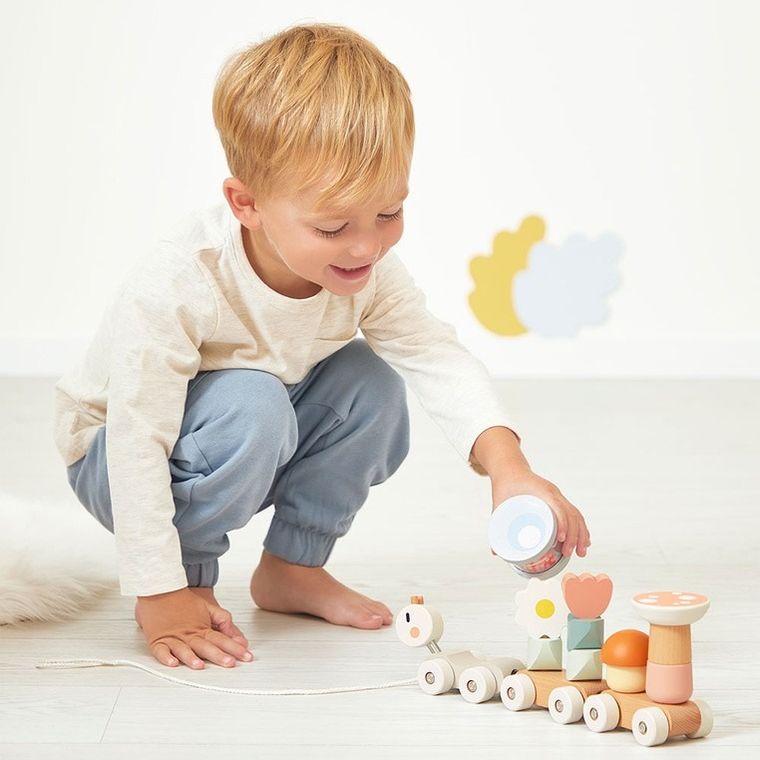 Janod, Sweet Cocoon, Ślimak, magnetyczny pociąg z klockami i grzechotką do ciągnięcia