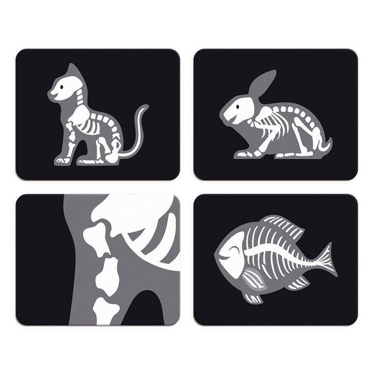 Janod, zestaw weterynarza z akcesoriami, 10 elementów