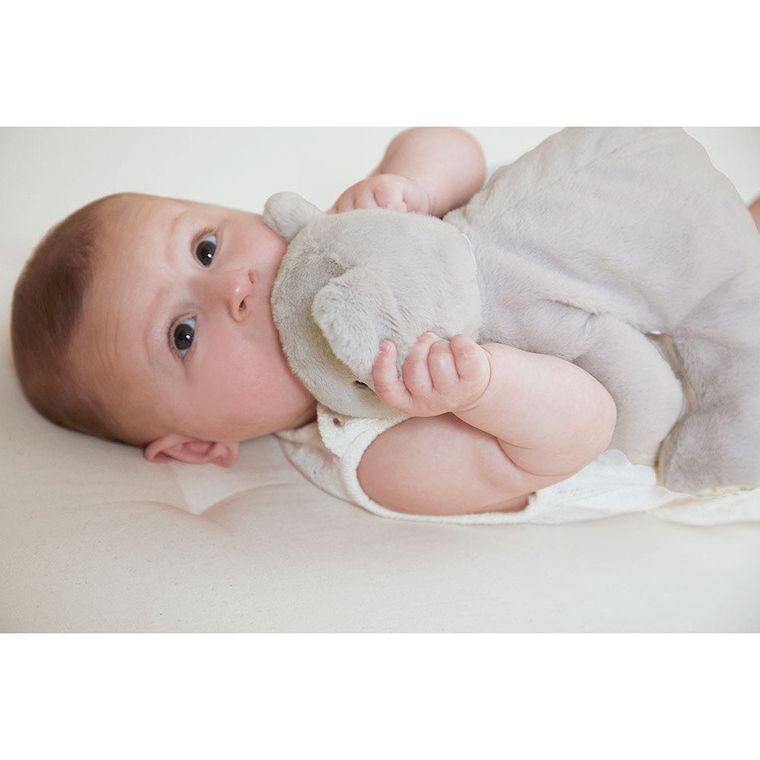 Kaloo, Petit Songe, Koala, przytulanka obciążeniowa, 28 cm