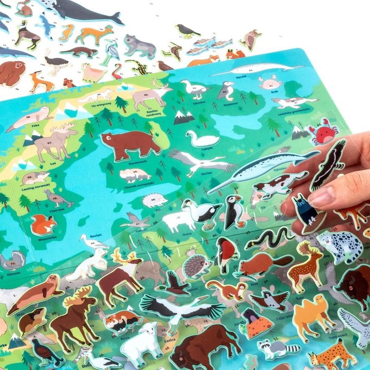 Kidea, Gdzie one żyją? Zwierzęta Europy, wyklejanka + gra