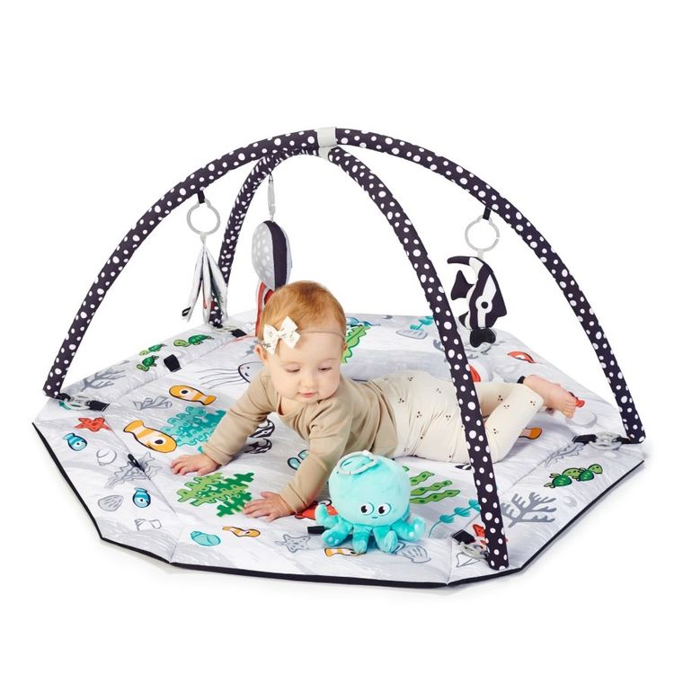 Kinderkraft, Sea Land, mata edukacyjna