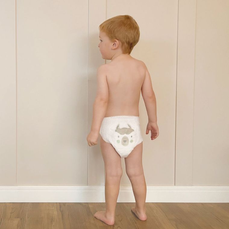 Kit and Kin, Nappy Pants, pieluchomajtki, rozmiar 8, 19 kg+, żaba i lama, 14 szt.