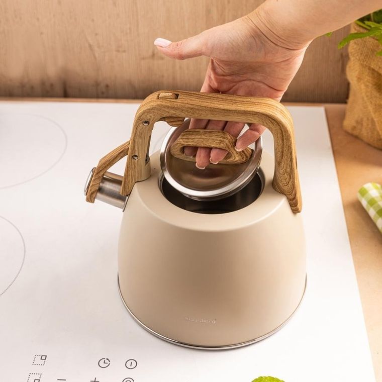 Klausberg, czajnik z gwizdkiem, stalowy, 2,5l, KB-7917