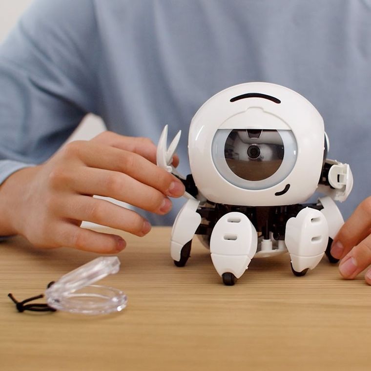 Kosmos, Bitsy, robot interaktywny, zestaw edukacyjny