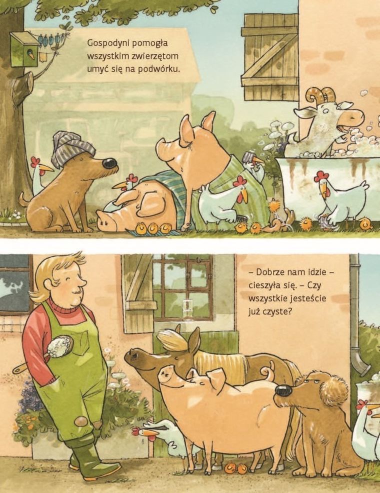 Krowa Matylda nie chce się kąpać