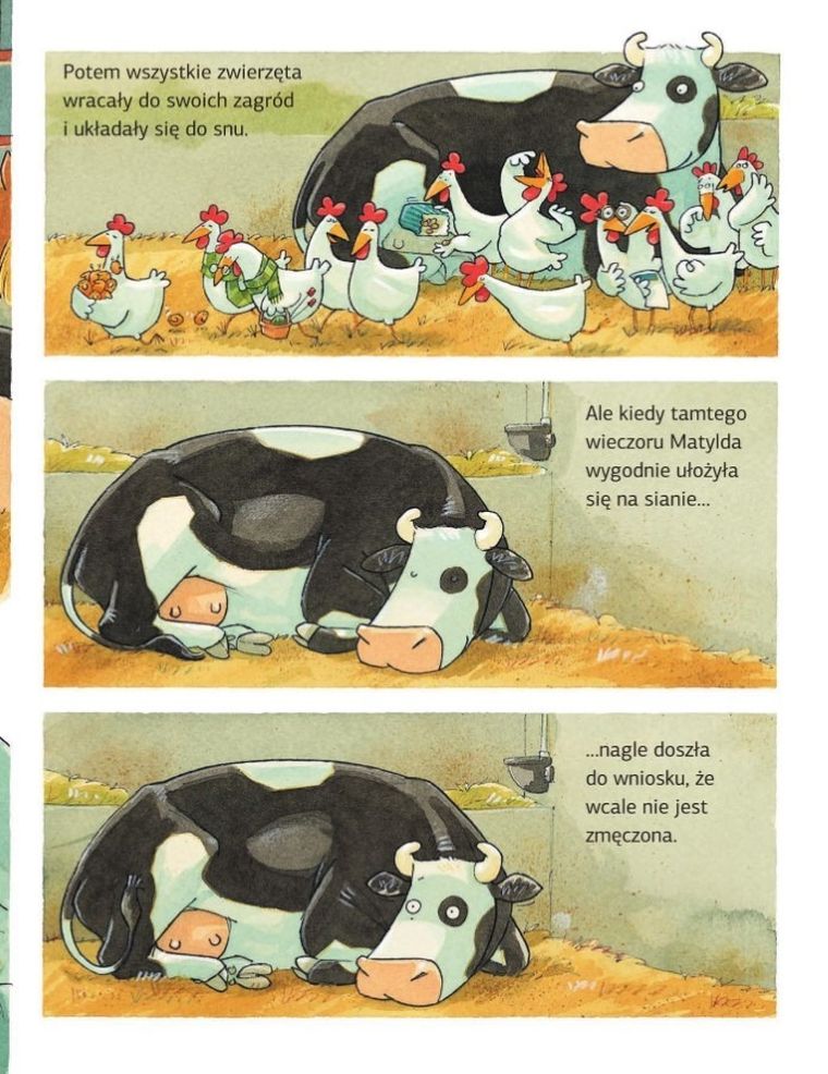 Krowa Matylda nie może zasnąć