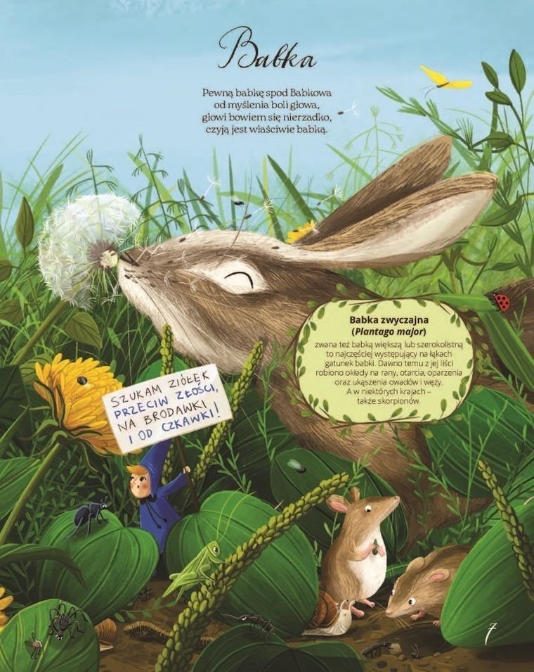 Łąka. Fakty, wierszyki i inne wybryki