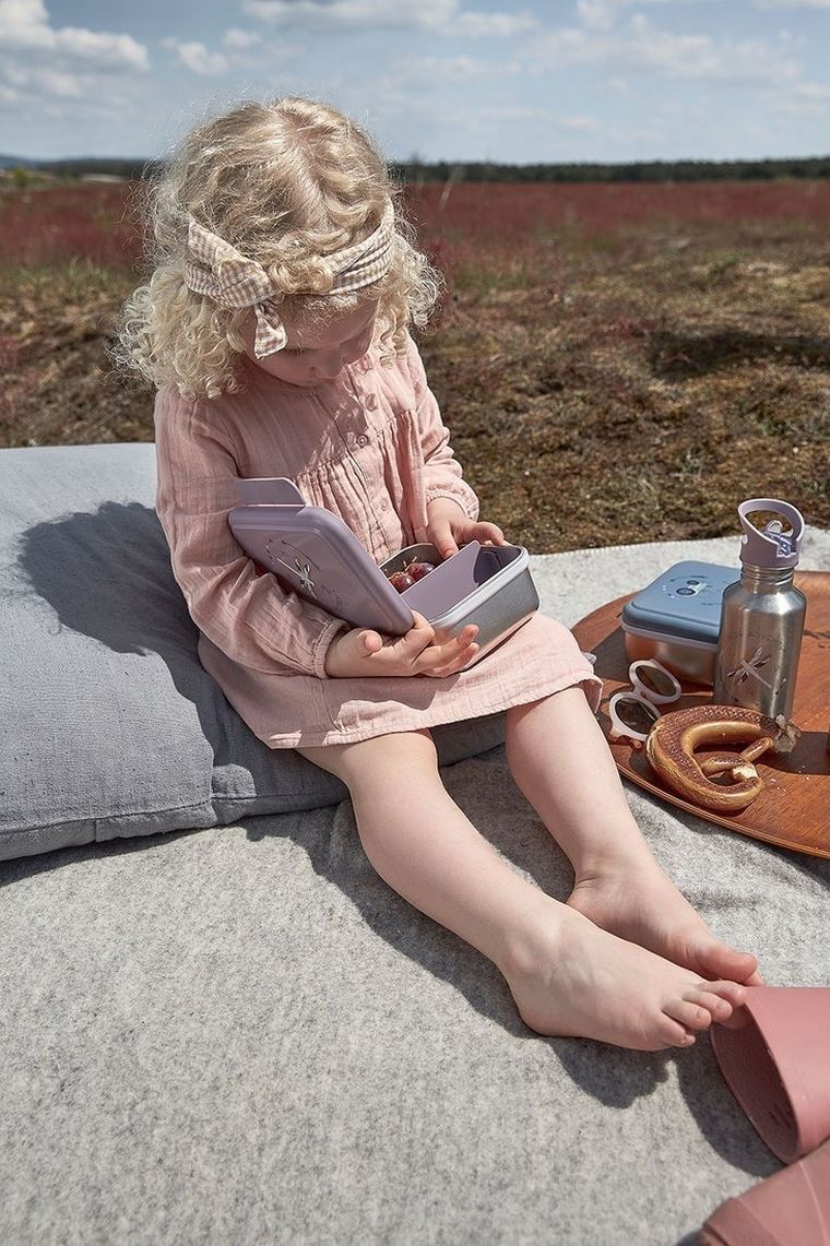 Lassig, Adventure, lunchbox ze stali nierdzewnej, ważka