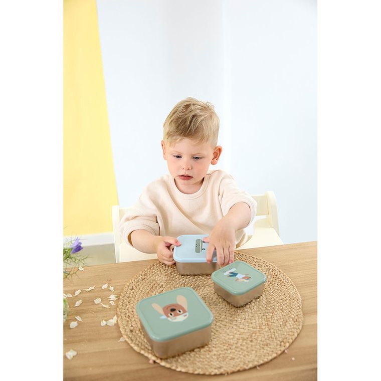 Lassig, Tiny Team, Piesek, snackbox ze stali nierdzewnej, pojemnik na przekąski, 3 szt.