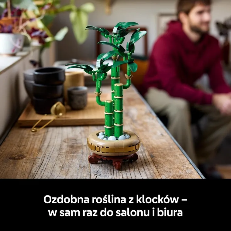 LEGO Botanicals, Dracena sandera, 10344