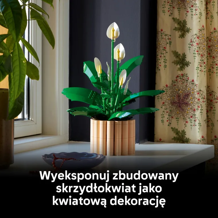 LEGO Botanicals, Skrzydłokwiat, 11504