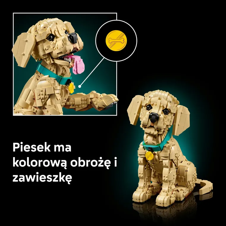 LEGO Icons, Szczeniak golden retriever, 11384