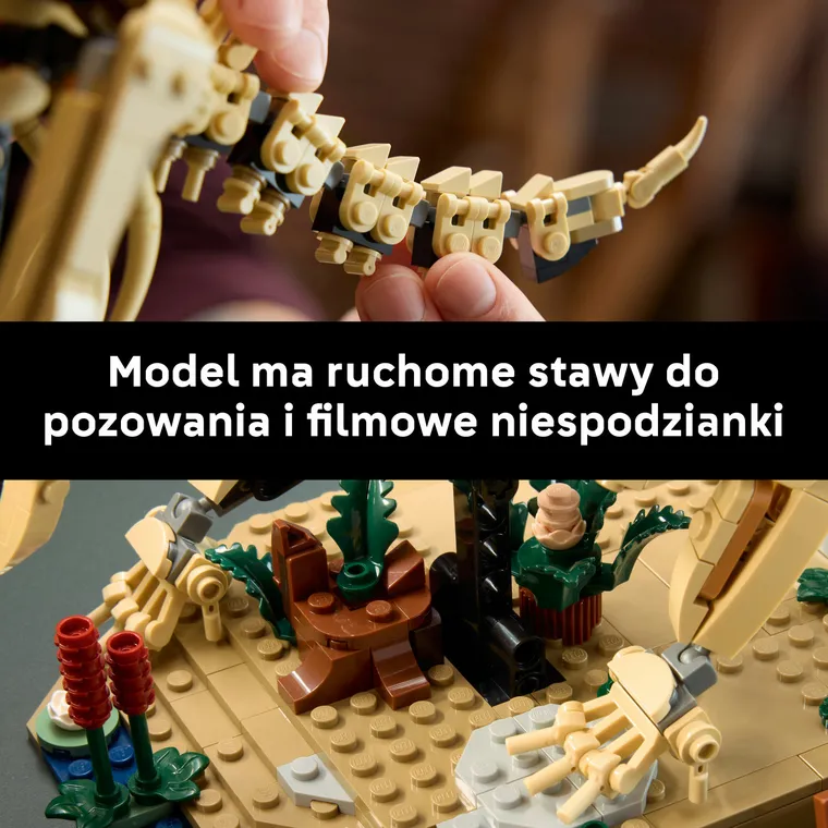 LEGO Jurassic World, Szkielety dinozaurów: triceratops, 77985