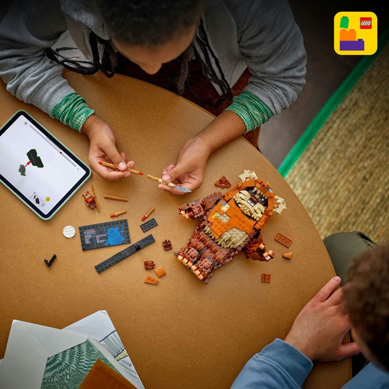 LEGO Star Wars, Ewok Wicket, 75430