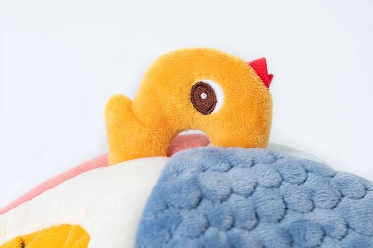 Lilliputiens, Piesek Jules, domek aktywizujący z grzechotkami, 9m+