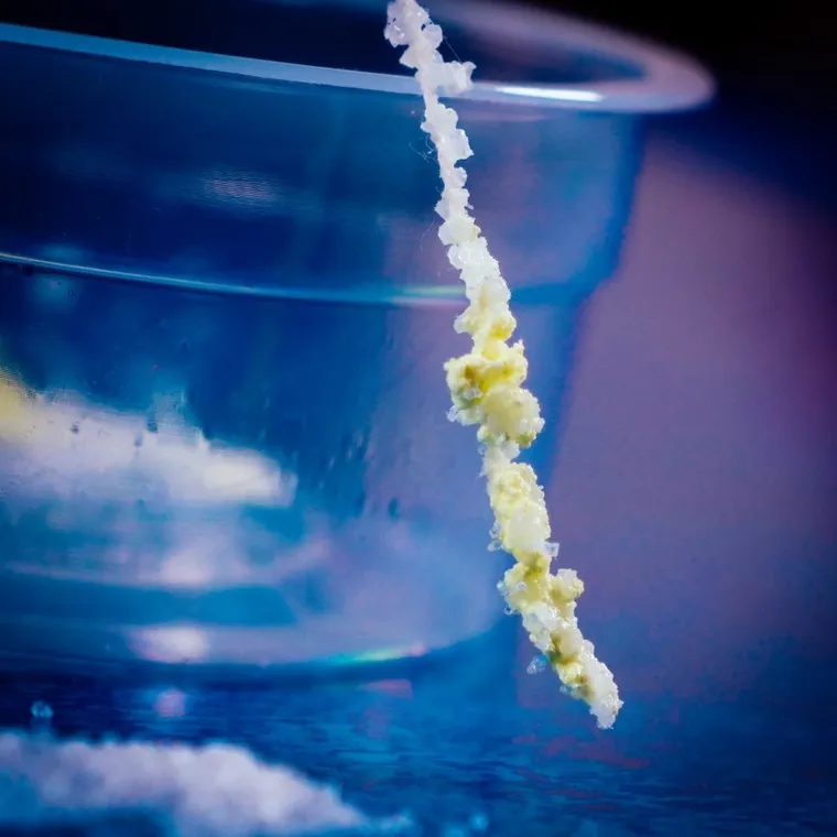 Lisciani, I'm a Genius, 150 eksperymentów chemicznych, zestaw naukowy