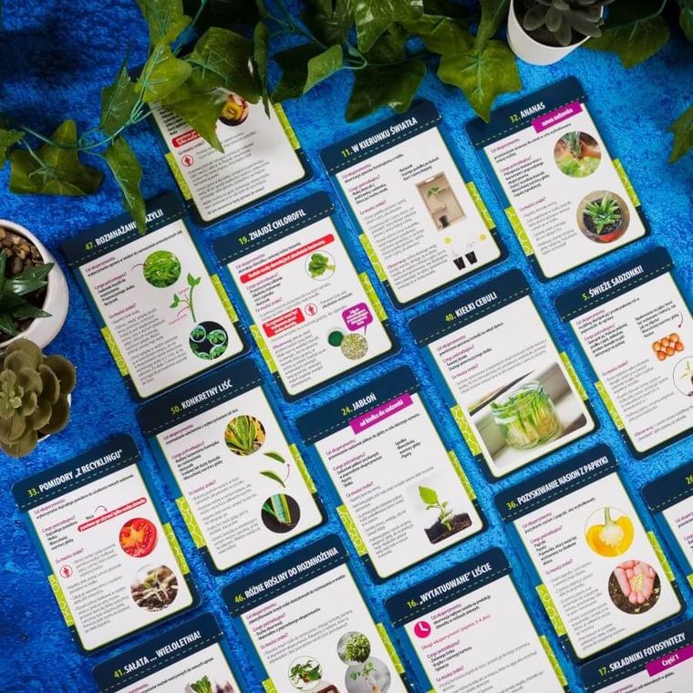 Lisciani, I'm a Genius, Nauka w domu, Botanika