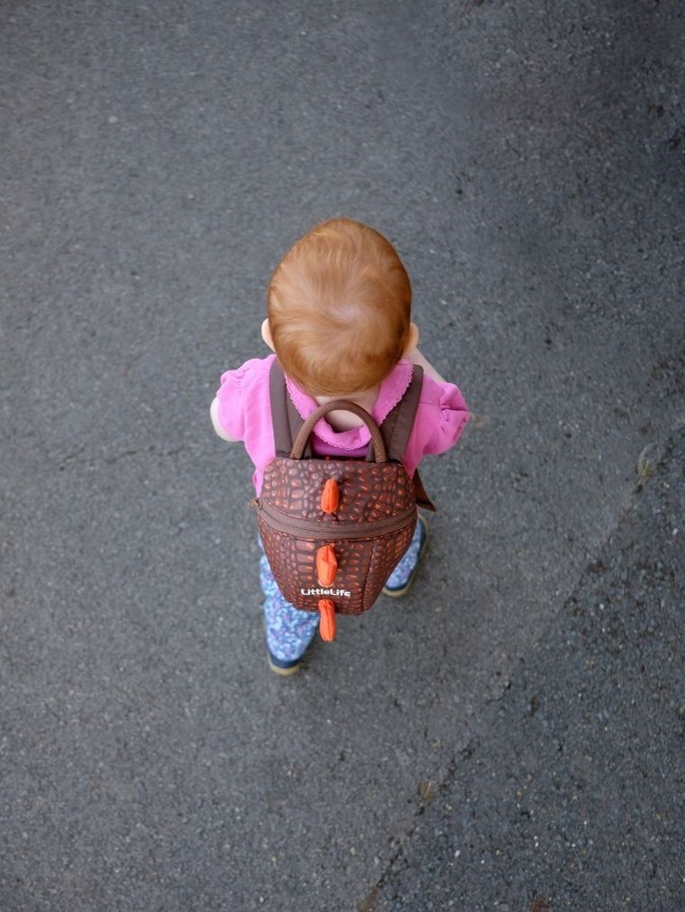LittleLife, Dinozaur, plecak dla przedszkolaka
