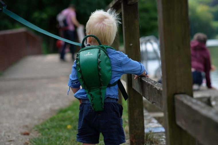 LittleLife, Krokodyl, plecak dla przedszkolaka