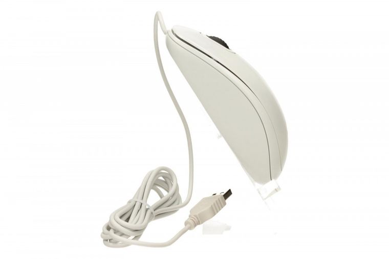 Logitech, mysz optyczna B100 OEM 910-003360 White