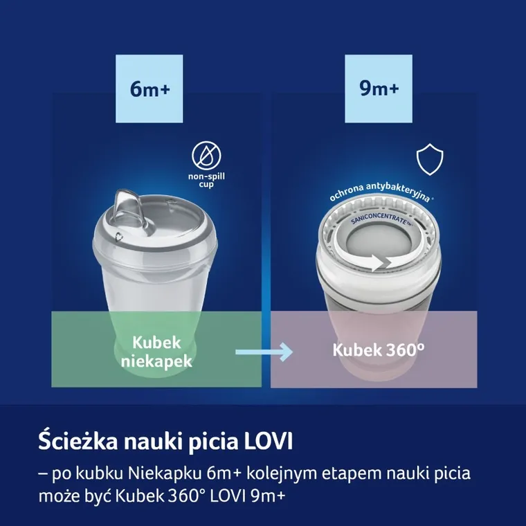 Lovi, Buddy Bear Junior, kubek niekapek, 6m+, 250 ml