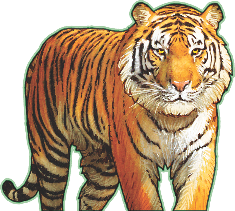 Lucky Duck Games, Hutan, gra familijna